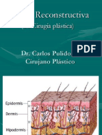 CX Reconstructiva