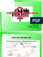 Lamina Power Point VPH