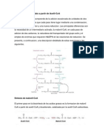 Biosintesis Del Palmitato A Partir de Acetil