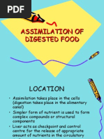 Download Assimilation of Digested Food by Arash Halim SN18226559 doc pdf