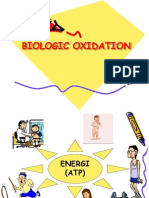 Biology Oxidation