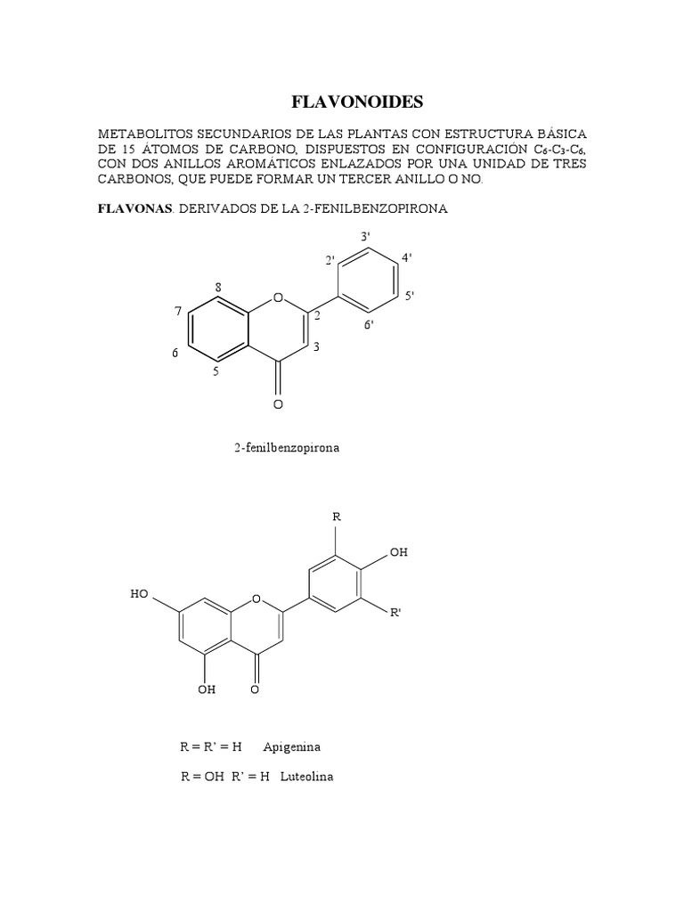 Estructura y Tipos de Flavonoides | PDF | Flavonoide | Química