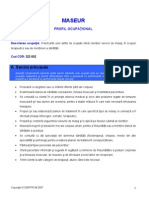 Standard Ocupational Maseur PDF