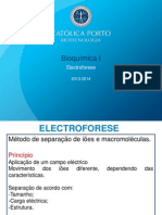 electroforese_2013_2014