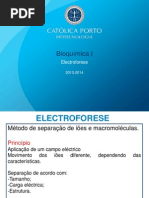 electroforese_2013_2014