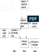 Molecular Biology Flow Chart