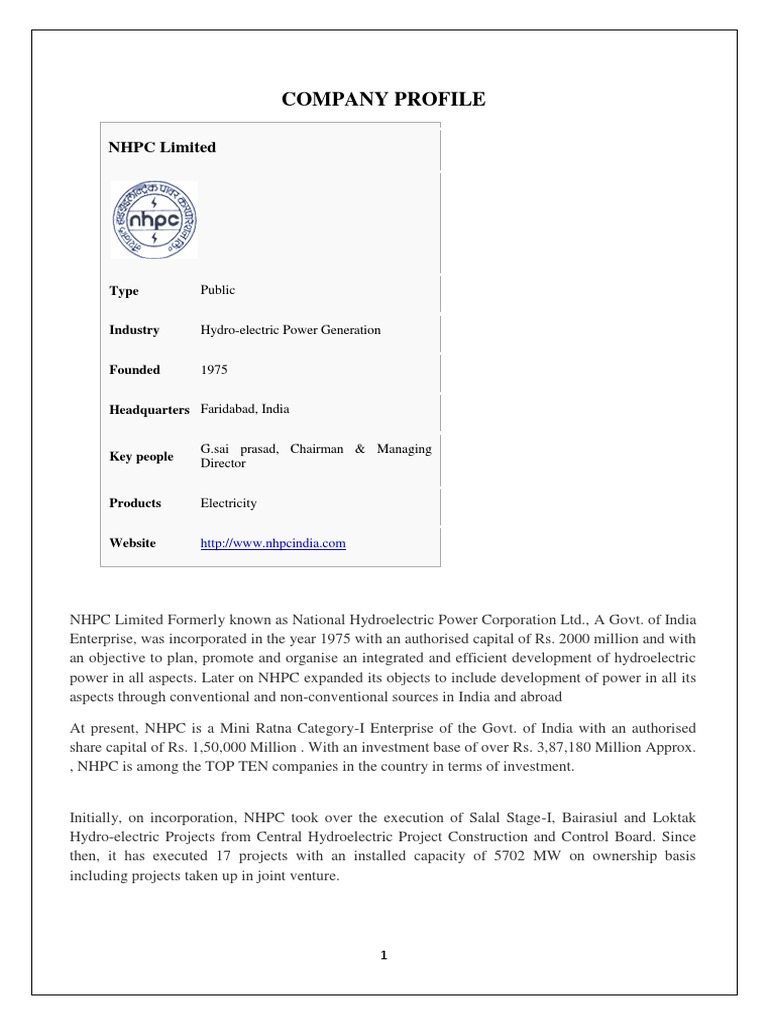 Example of financial summary picture