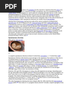 Download An Abortion is the Termination of a Pregnancy by the Removal or Expulsion From the Uterus of a Fetu by roselyncielo6788 SN18230440 doc pdf