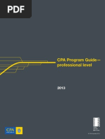 Cpa Program Guide Professional Level PDF