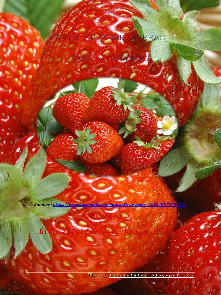 Manisnya Rasa Strawbery | PDF