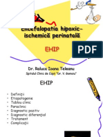 EHIP.ppt