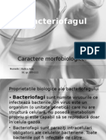 bacterofagii