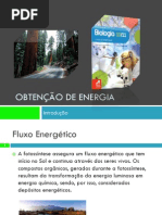 PPT 1 - Obtenção de energia