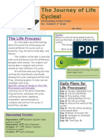 Life Cycle Newsletter - Second Grade