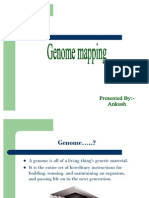 Genome Mapping PDF