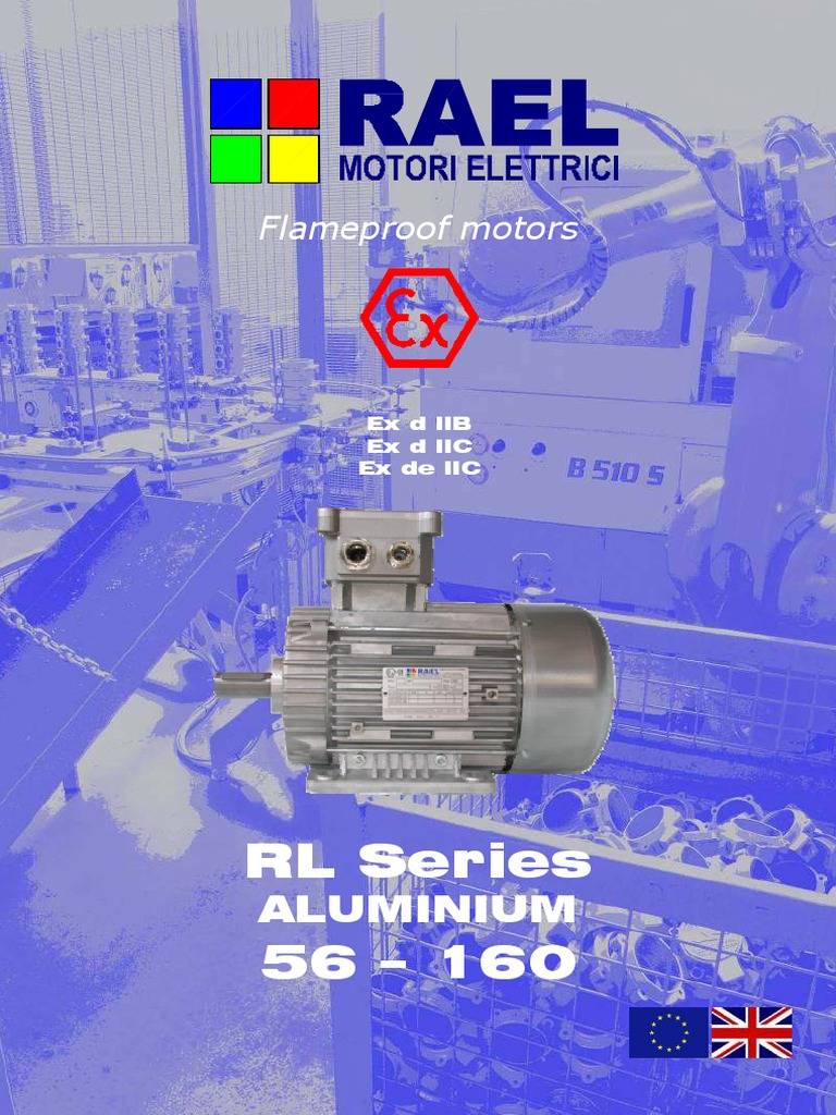 Rael Electric Motors Overview | PDF | Physical Quantities | Physics