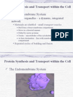 Protein Synthesis 