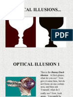 Optical Illusions...