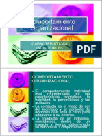 Caracteristicas Individuales PDF