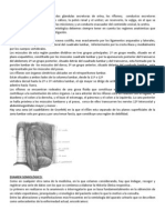 Reseña Anatomica