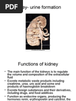 Download Function of Kidney by Nilesh SN18242780 doc pdf