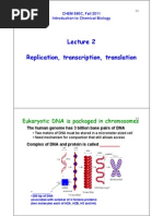 Molecular Biology Notes 1.pdf