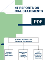 audit report.pdf