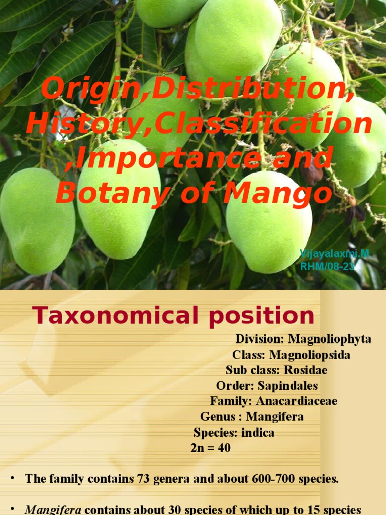 Origin,Distribution, History,Classification ,Importance and Botany of