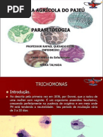 Trichomonas (Aula 2)
