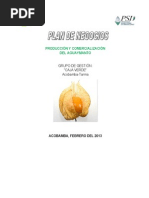 Plan de Negocios Aguaymanto Ok