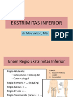 Ekstrimitas Inferior PDF