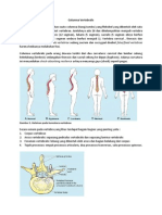 Columna Verteblis PDF