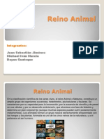 Reino Animal