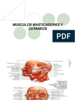 presentacin-musculos-