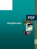 Entomologia - Modulo I Unidad