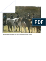 Gatun Horse Show 1981 CZHA