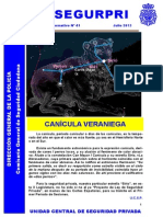 Boletin SegurPri Nº 41