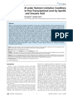 Expression of VjbR under Nutrient Limitation Conditions.pdf