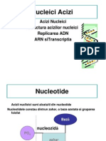aciyi nucleici