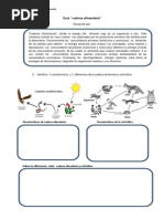 Guia Cadena Troficas
