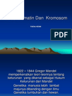 Gen Dan Kromatin Dan Kromosom