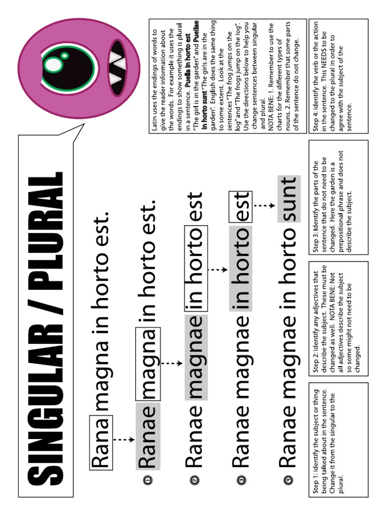 Latin singular and plural sentences