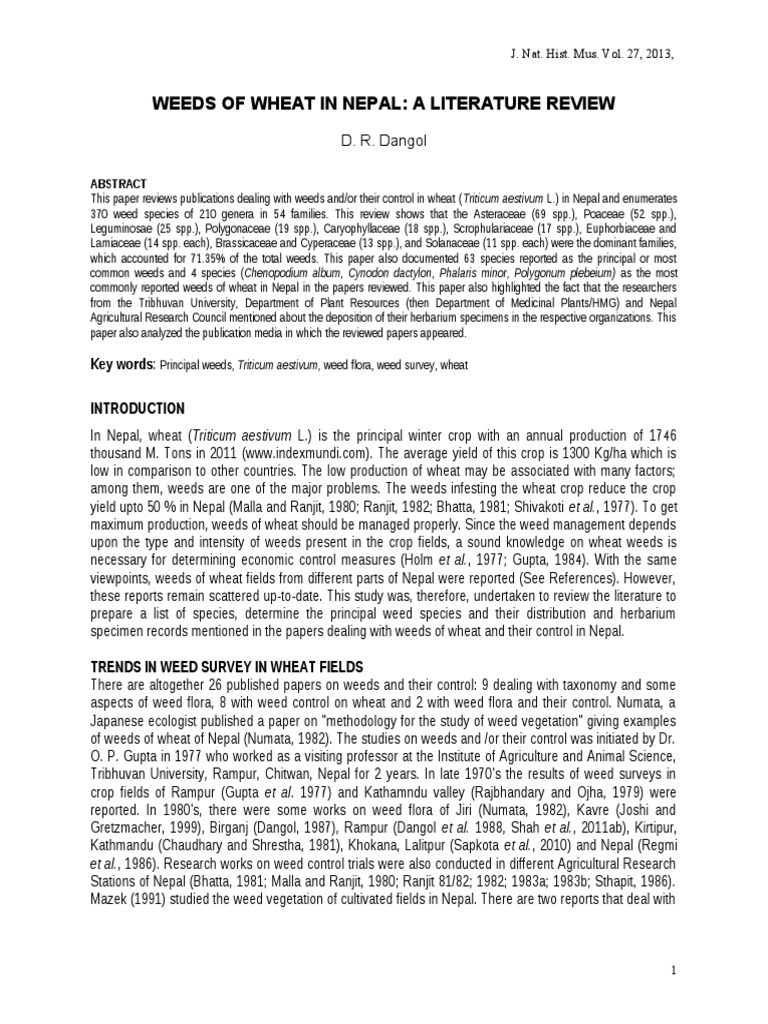 Organization working against drug addiction in nepal picture