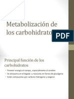 Metabolización de Los Carbohidratos