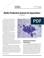 Biofloc Production System