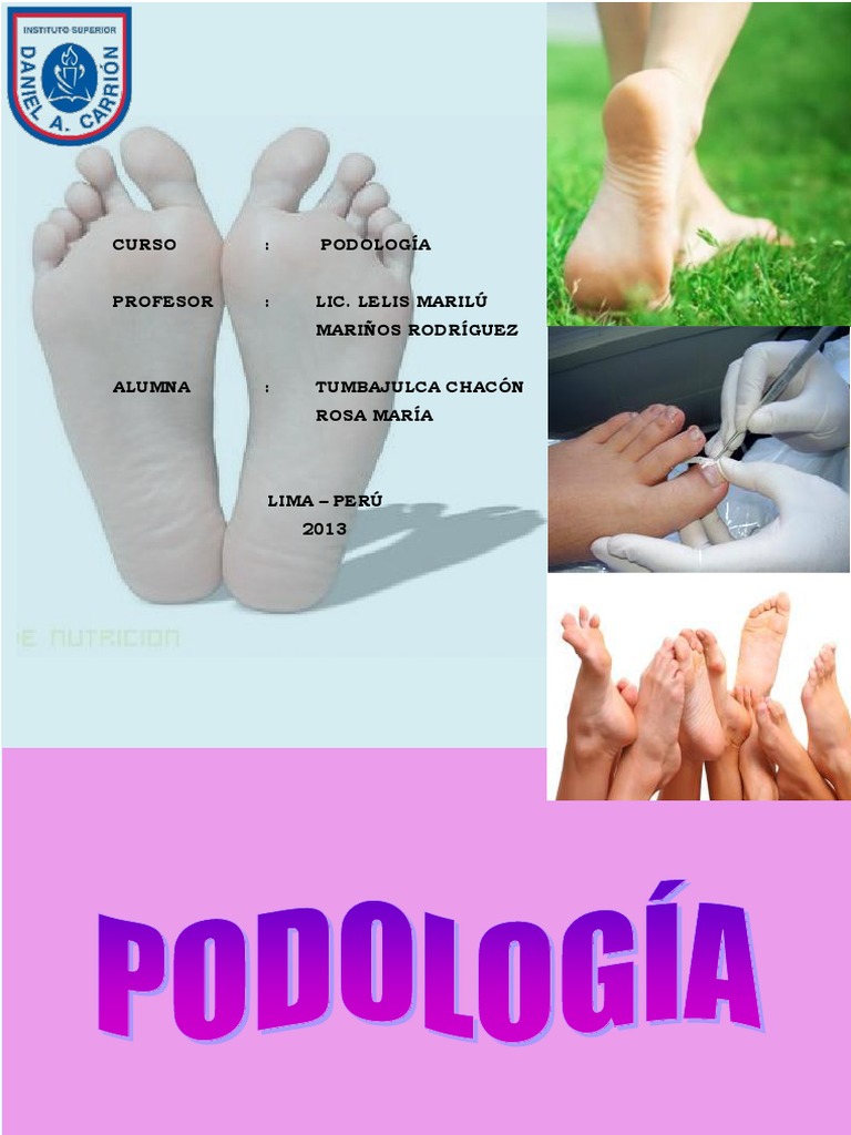 Historia y anatomía de la podología | PDF | Pie | Clavo (anatomía)