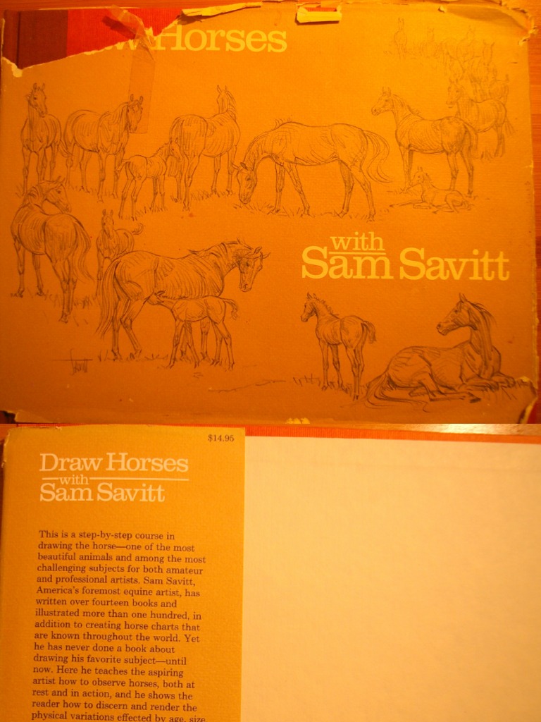 Draw Horses With Sam Savitt PDF