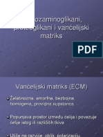 Glukozaminoglikani, Proteoglikani I Vanć