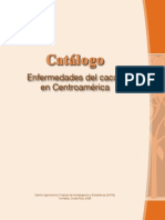 Enfermedades Del Cacao Catalogo Catie PCC