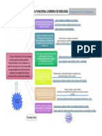 Mapa Funcional Final